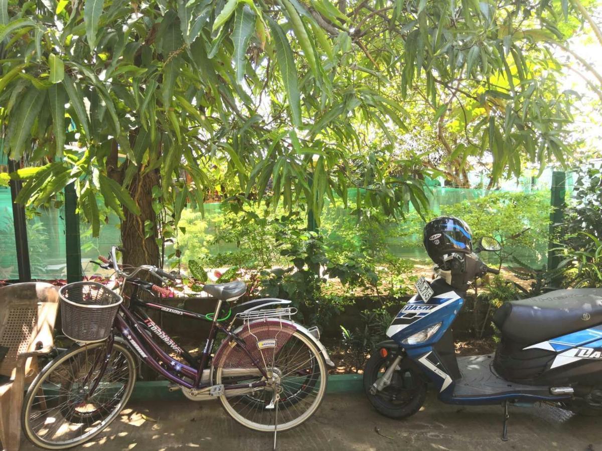 Alass Ga For Pets Lovers Trincomalee Exterior photo