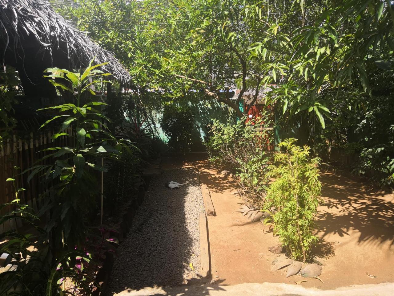 Alass Ga For Pets Lovers Trincomalee Exterior photo
